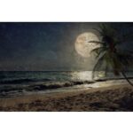 BEACH AT NIGHT