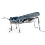 GRASSHOPPER