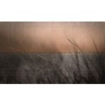 CONCRETE WIND