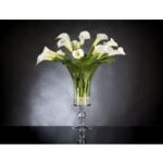 ETERNITY NEW COPPA CALLA
