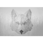 FOX GRAPHIC