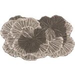 BOTANICA GREY BIG