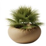 NAMI PLANTER MIX