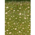 FLOWER MEADOW 21