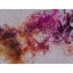 COLOUR NETWORK