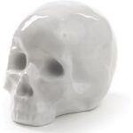 MY SKULL